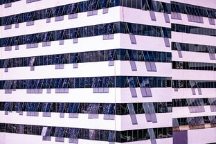 九游体育官网-体育赛事风险管控体系建设，体育赛事风险防范